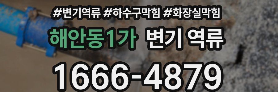 해안동1가 변기 역류