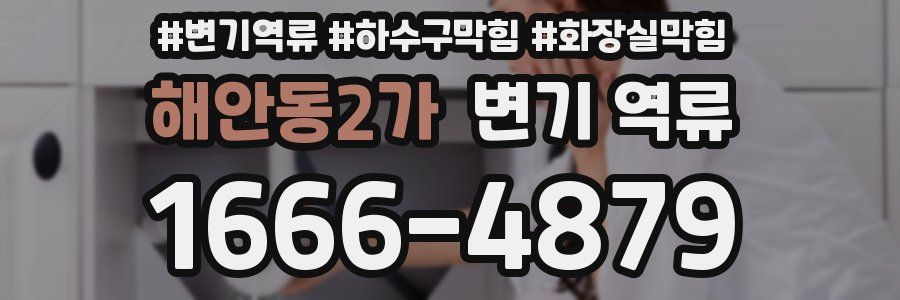 해안동2가 변기 역류