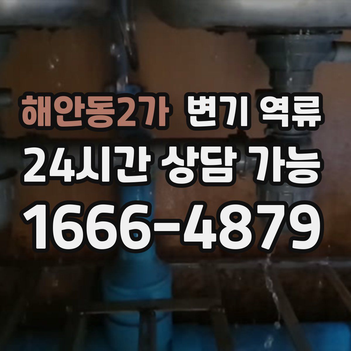 해안동2가 변기 역류