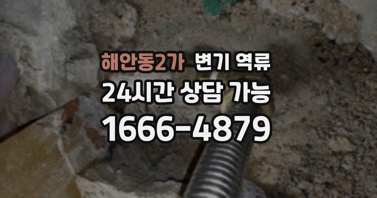 해안동2가 변기 역류