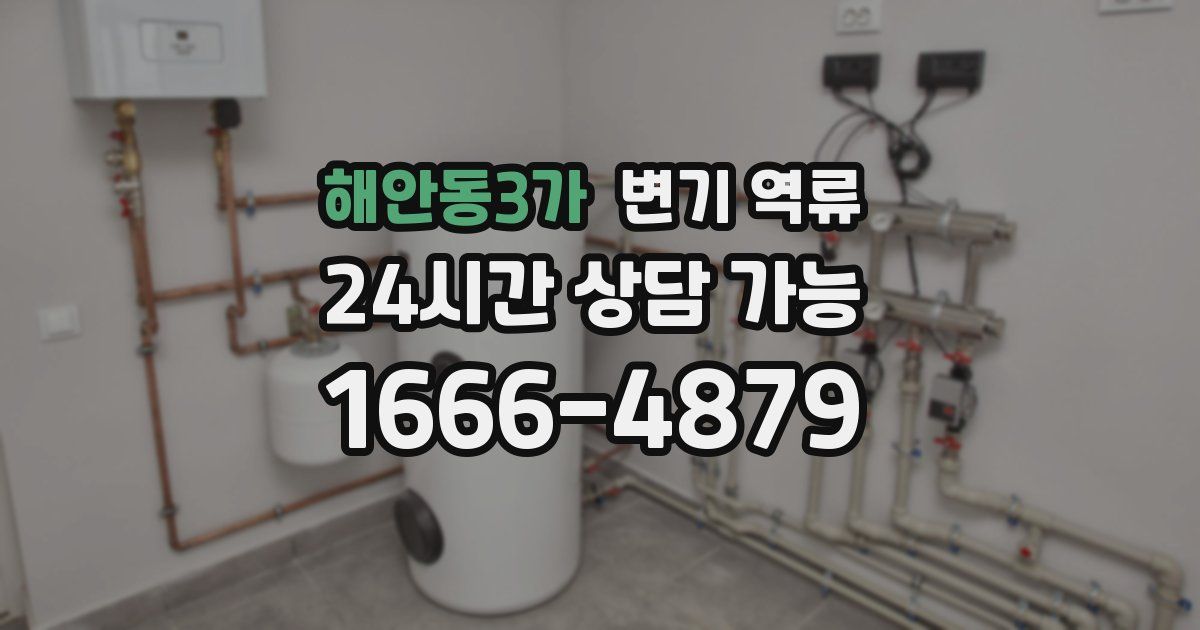 해안동3가 변기 역류