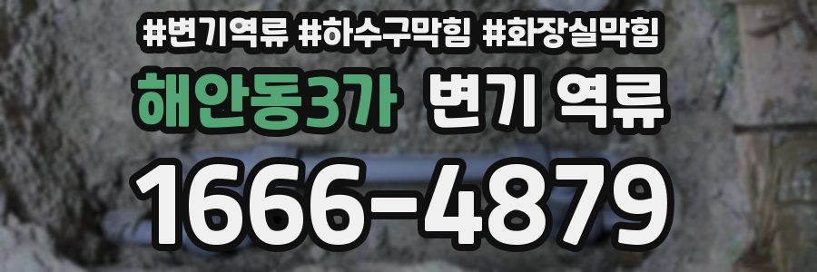 해안동3가 변기 역류