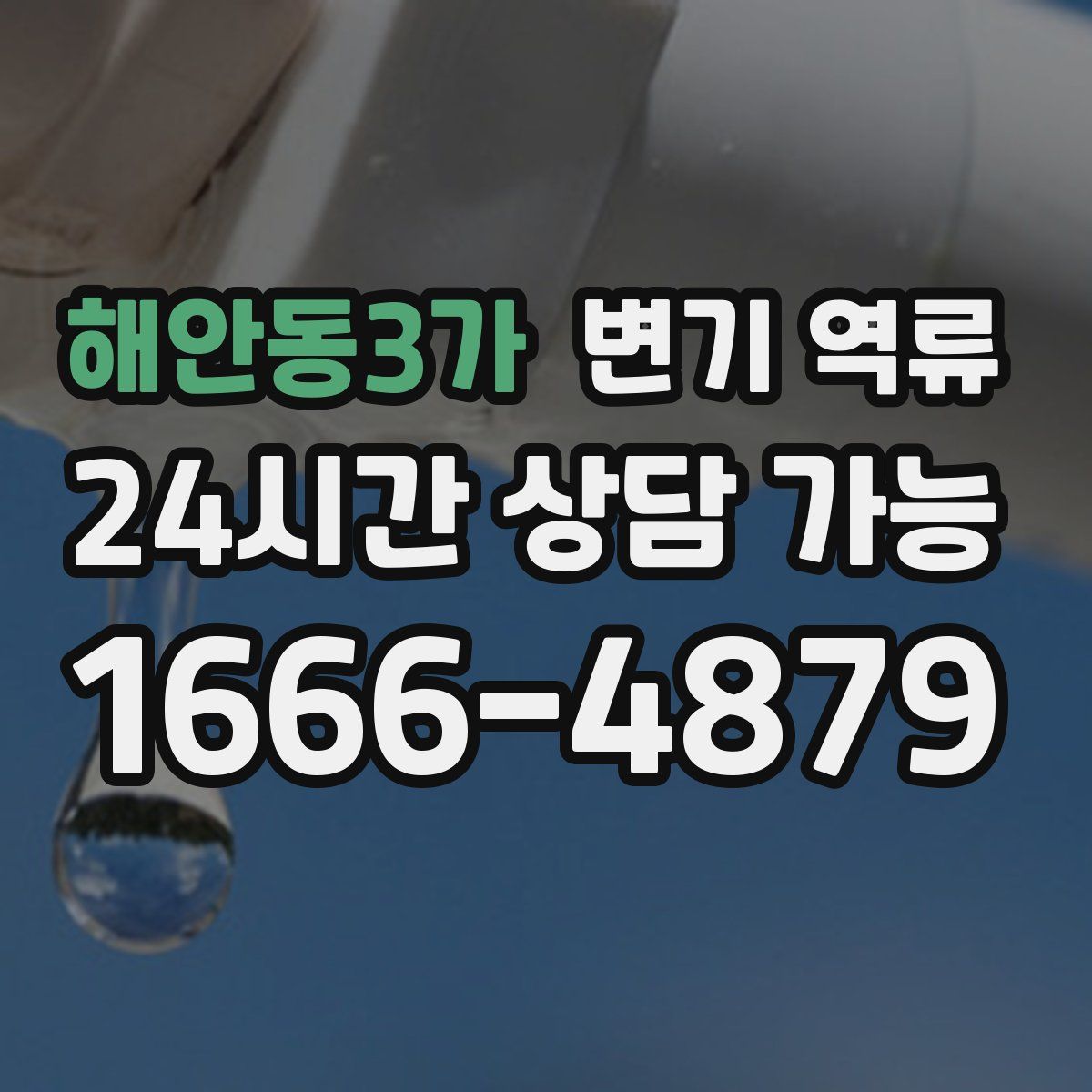 해안동3가 변기 역류