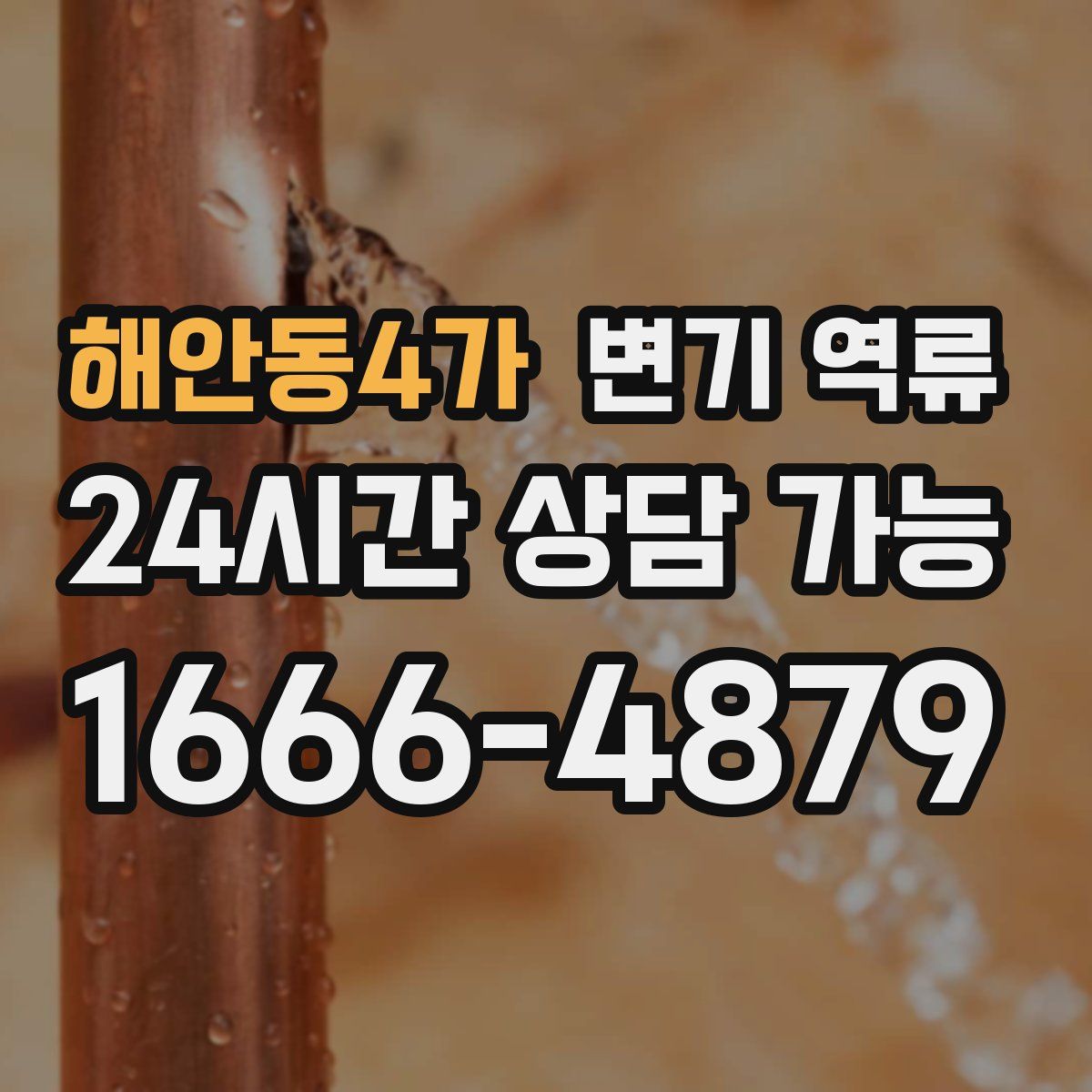 해안동4가 변기 역류