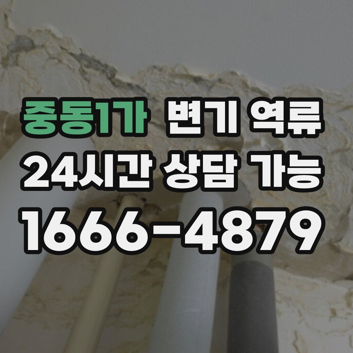 중동1가 변기 역류 한 세대만 발생할 때와 여러 세대 발생할 때 차이