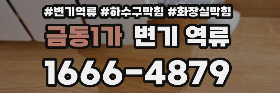 금동1가 변기 역류