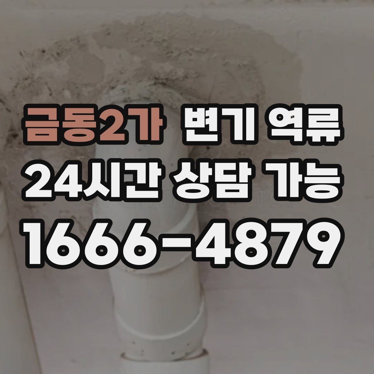 금동2가 변기 역류 재발 방지 안내물티슈/위생용품 투입 금지, 과다 휴지 사용 주의, 배수