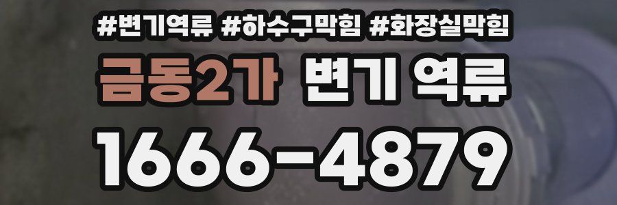 금동2가 변기 역류