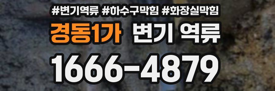 경동1가 변기 역류