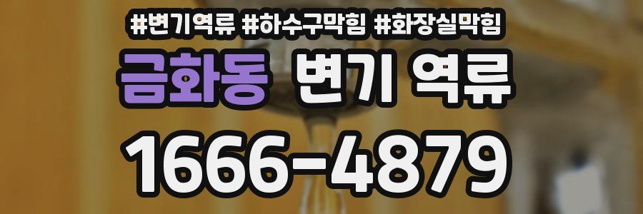 금화동 변기 역류