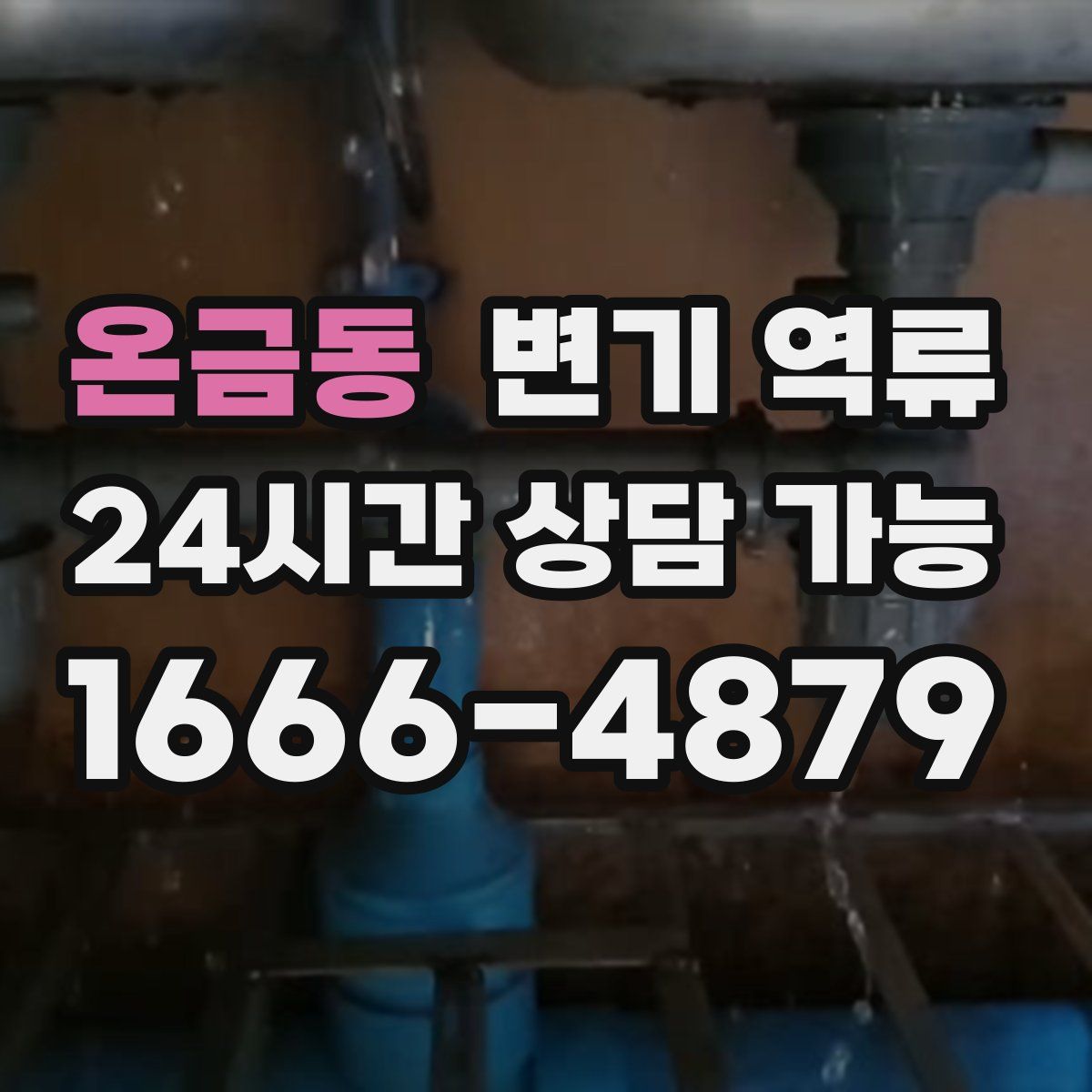 온금동 변기 역류