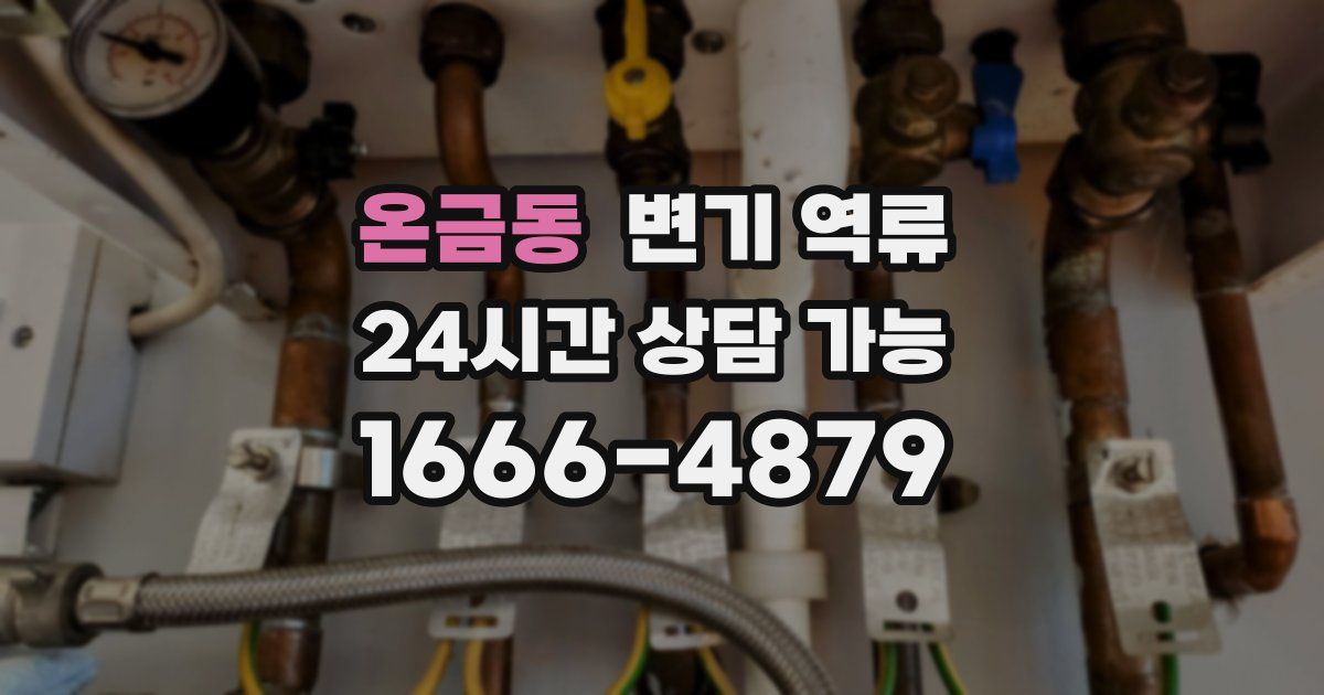 온금동 변기 역류