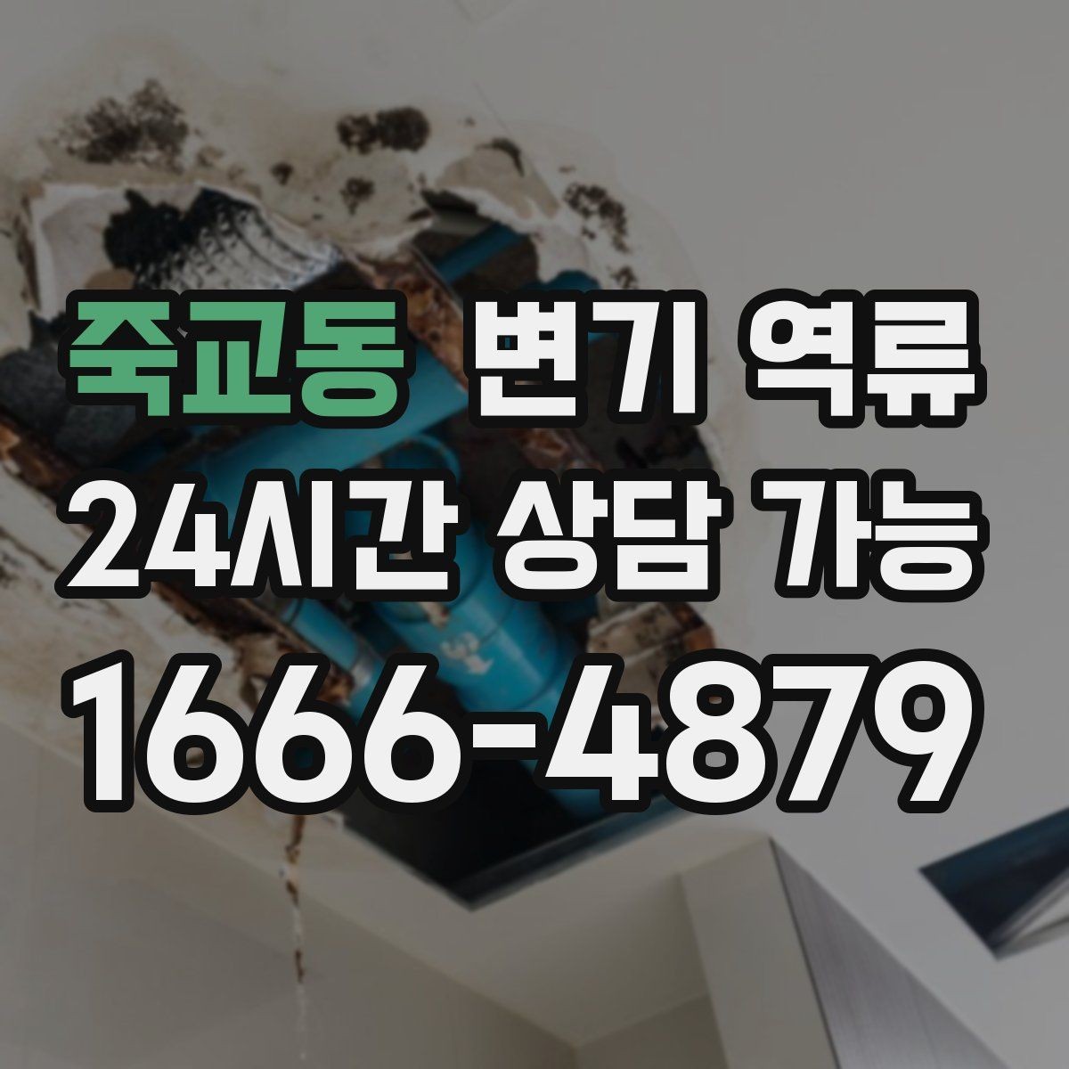 죽교동 변기 역류 바닥·벽 오염이 남기 쉬운 이유