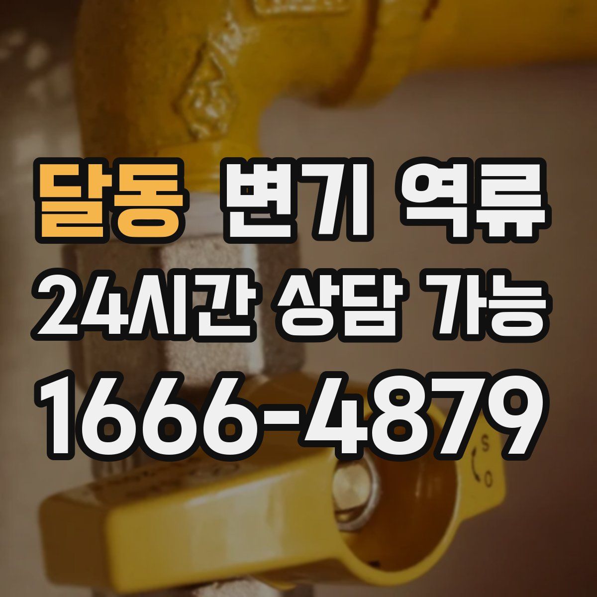 달동 변기 역류