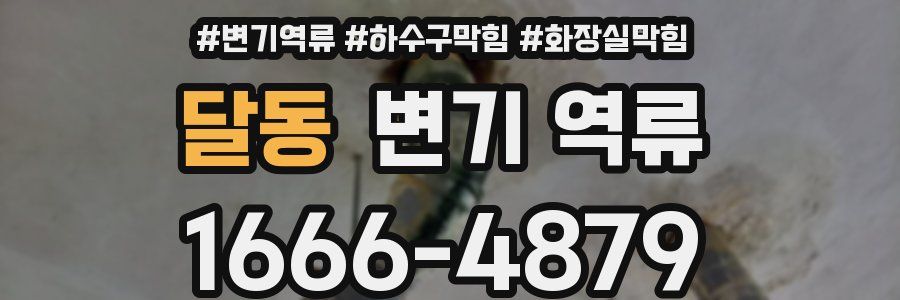 달동 변기 역류