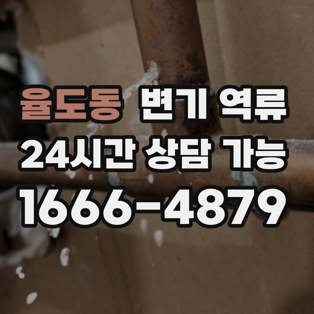 율도동 변기 역류