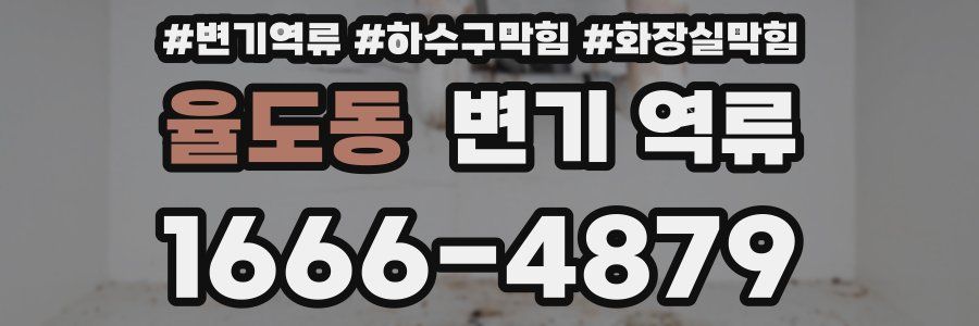 율도동 변기 역류