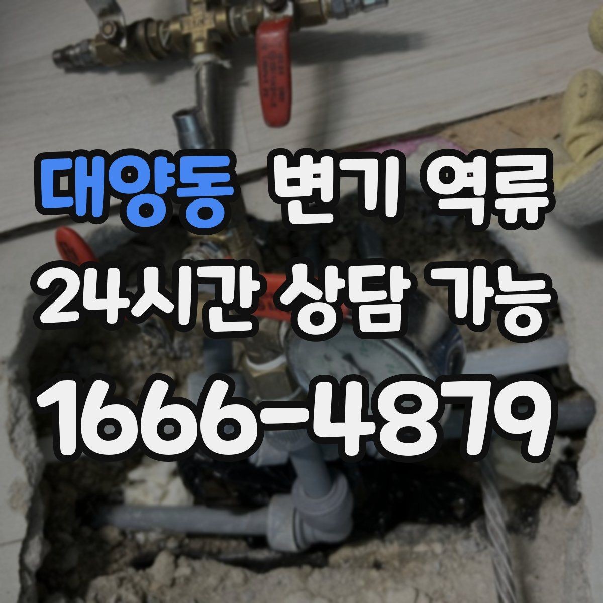 대양동 변기 역류 물이 맑은지 탁한지로 구분하는 힌트
