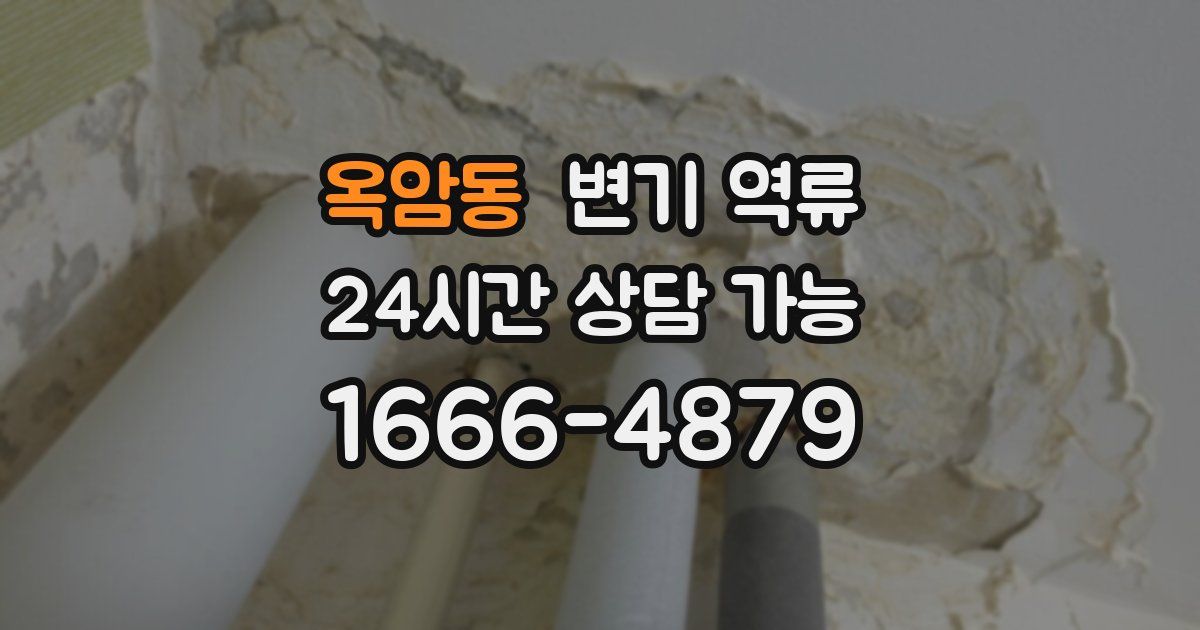 옥암동 변기 역류