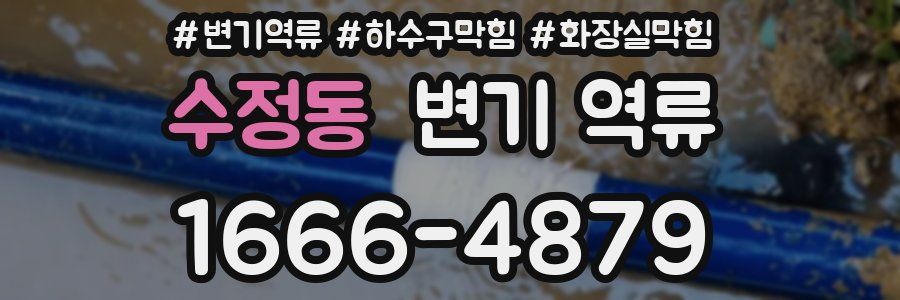 수정동 변기 역류