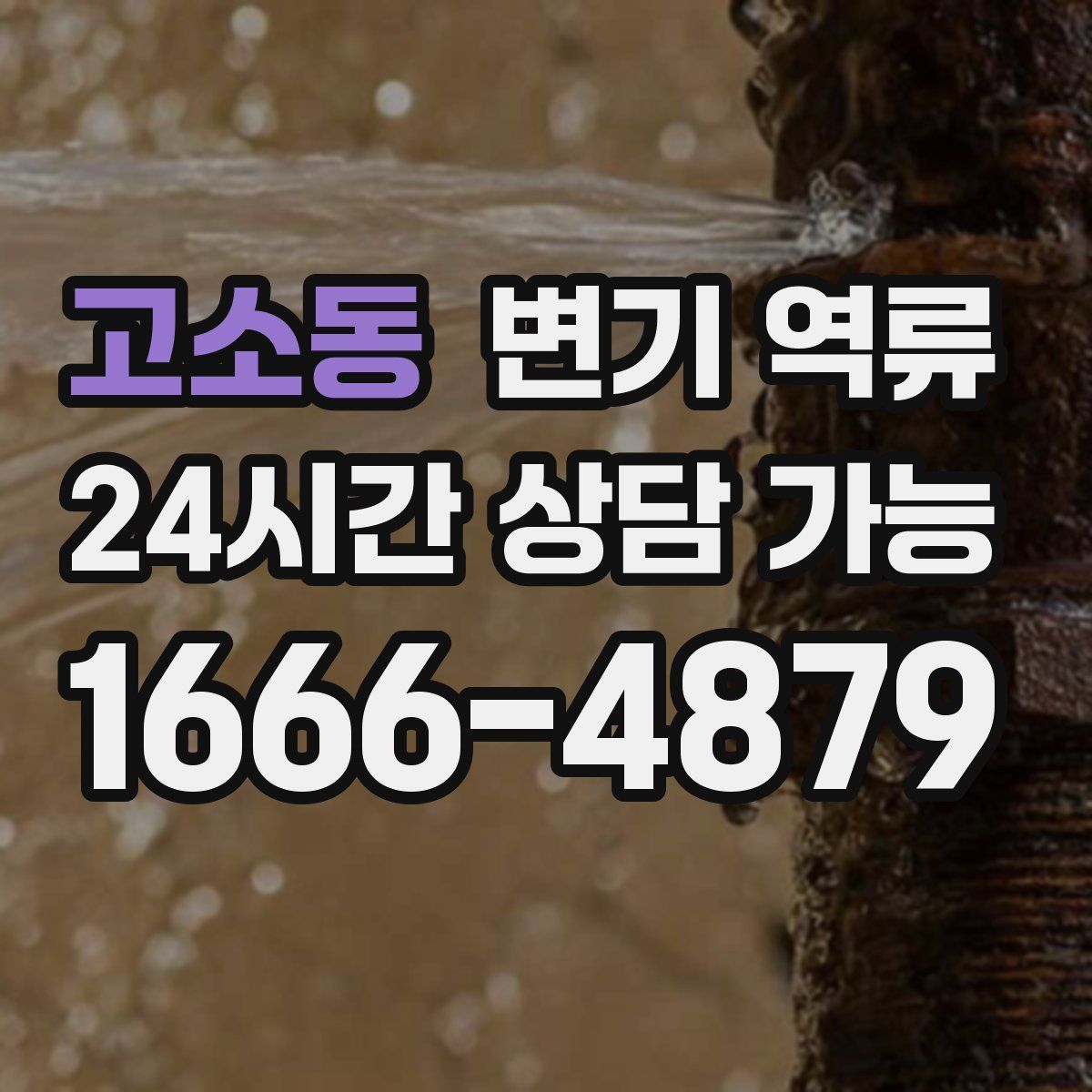 고소동 변기 역류