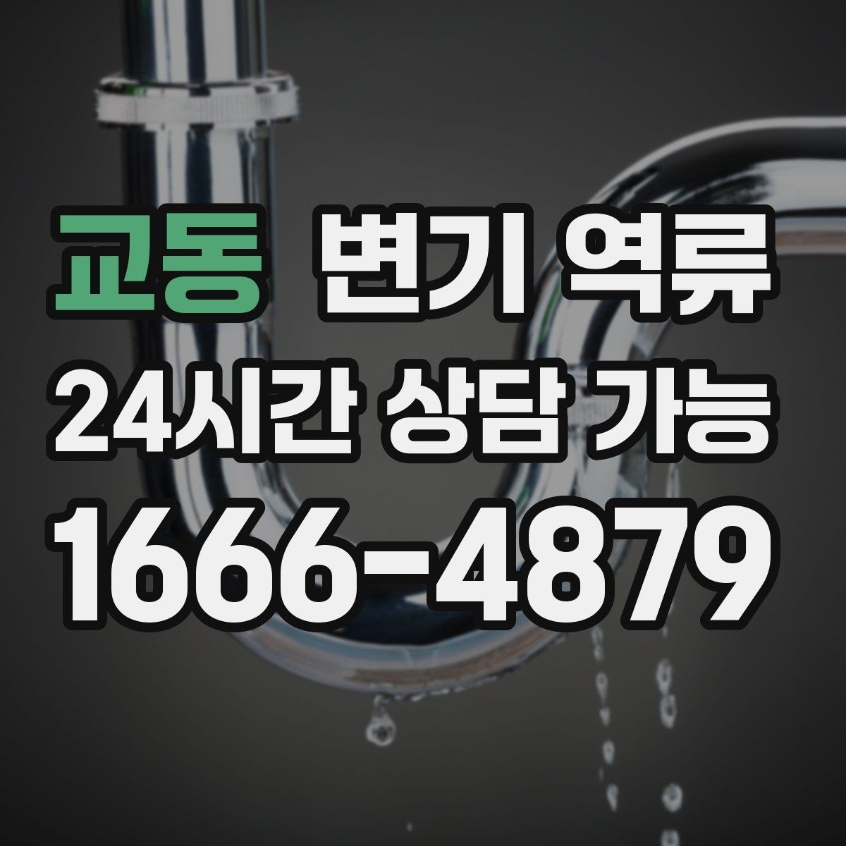 교동 변기 역류 역류량이 많을수록 위험한 이유