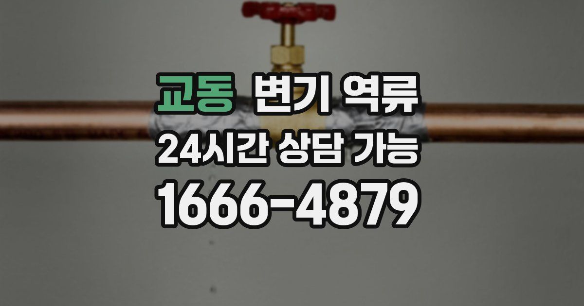 교동 변기 역류