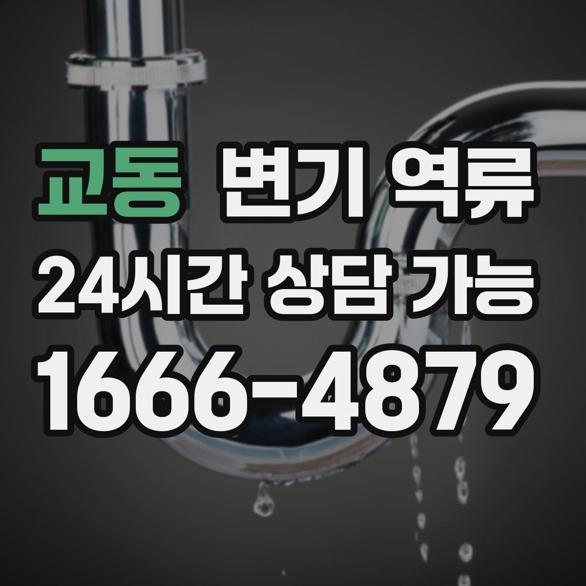 교동 변기 역류