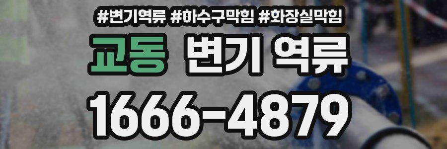 교동 변기 역류