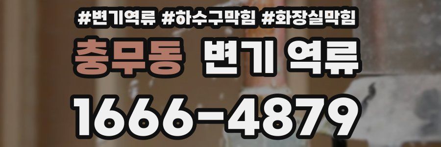 충무동 변기 역류