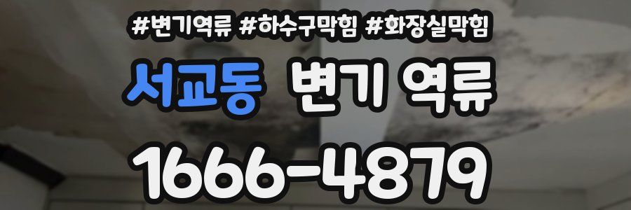 서교동 변기 역류