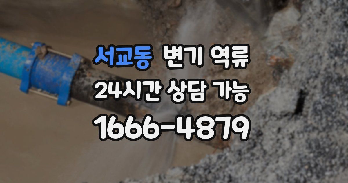 서교동 변기 역류