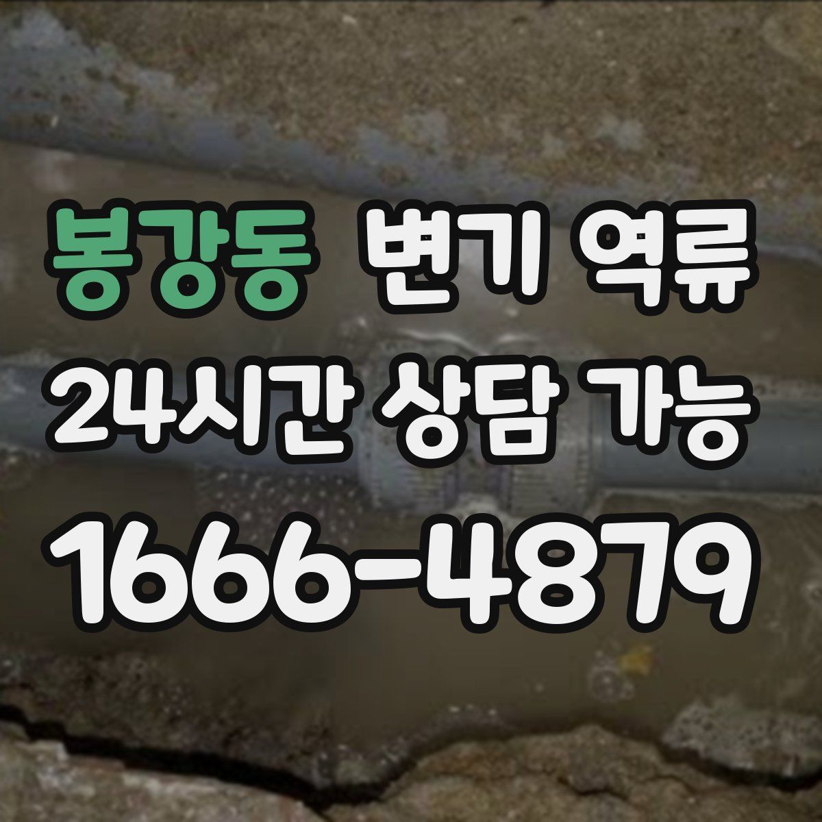 봉강동 변기 역류