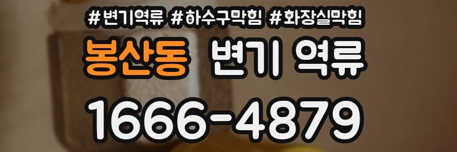 봉산동 변기 역류