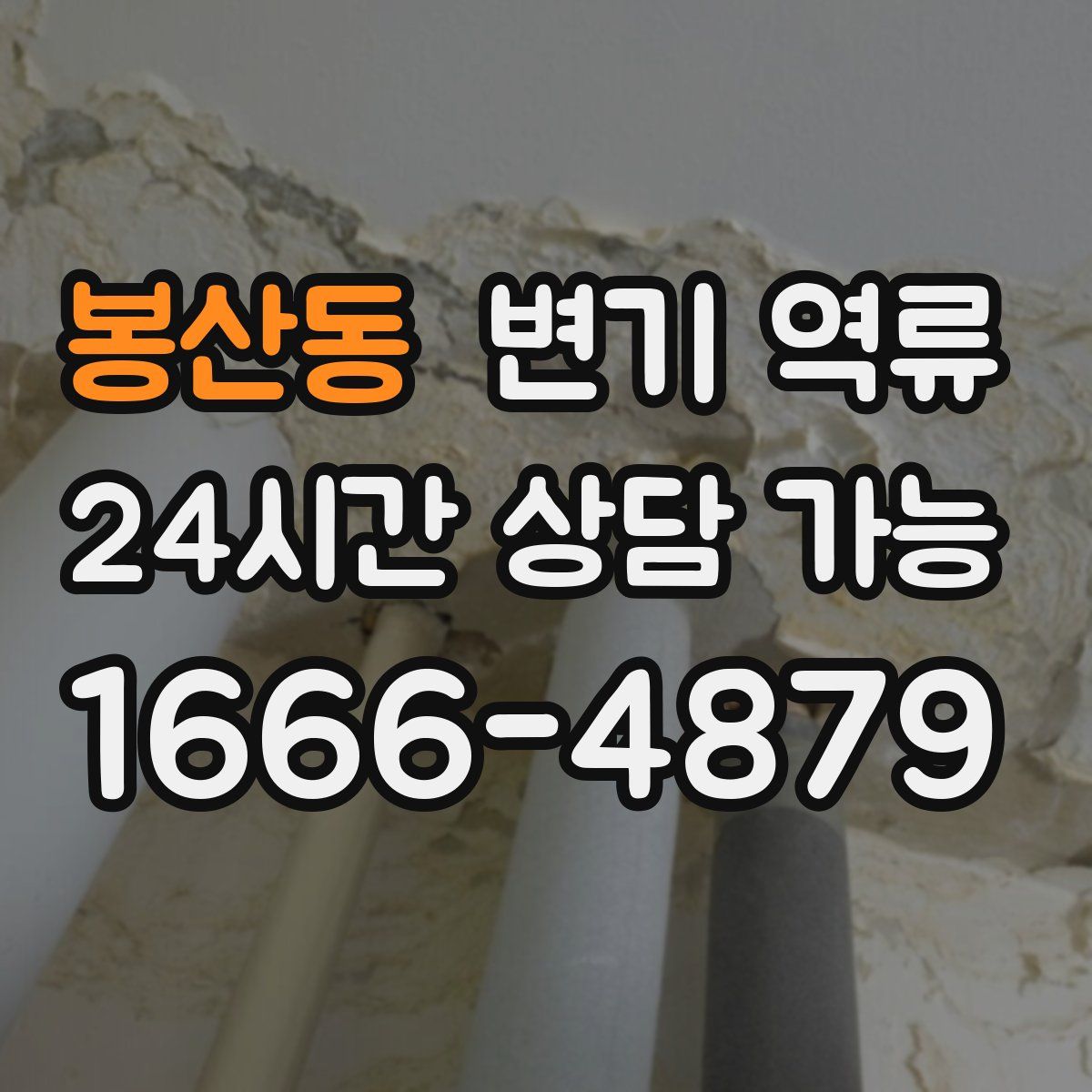 봉산동 변기 역류