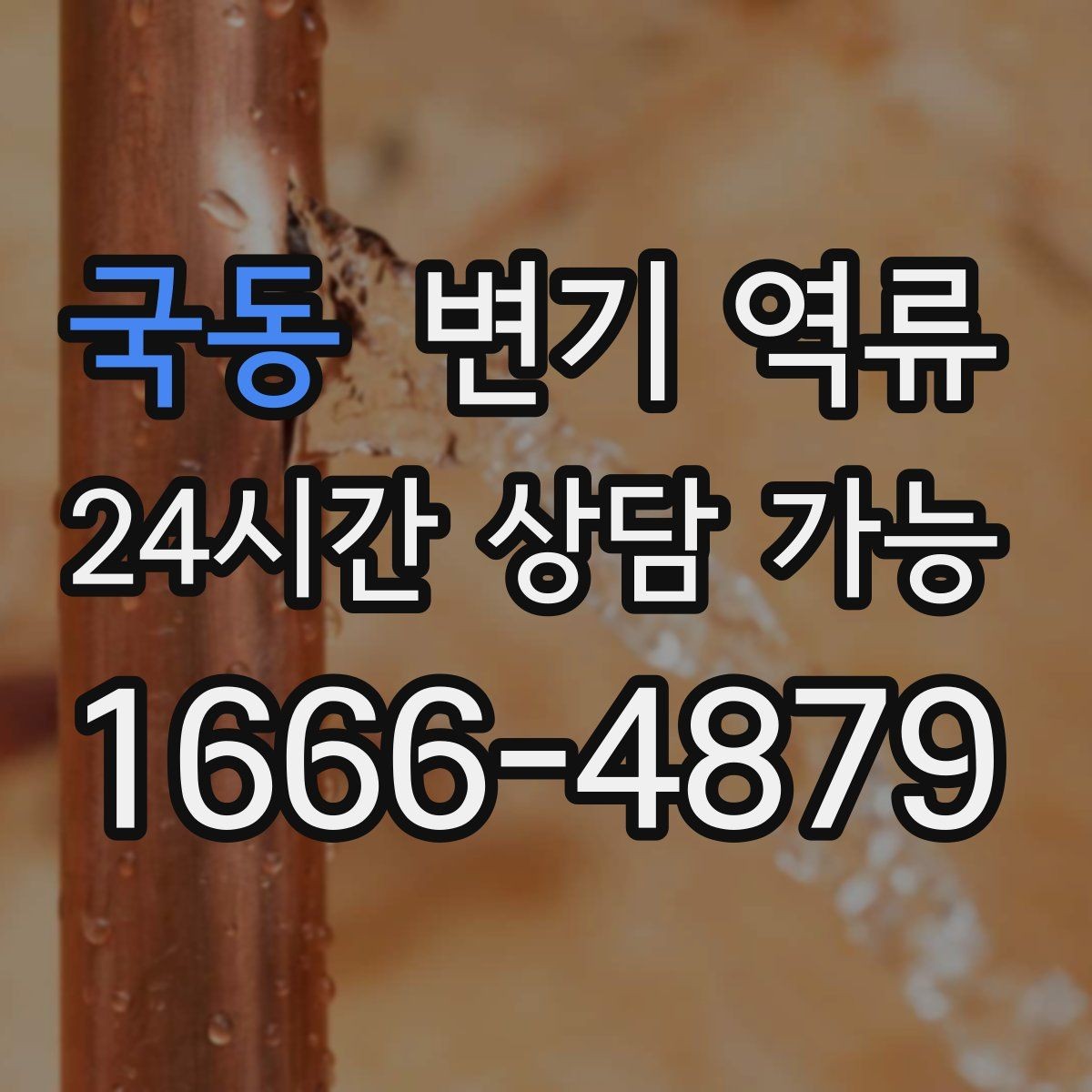 국동 변기 역류 같은 자리에서 계속 생기는 원인