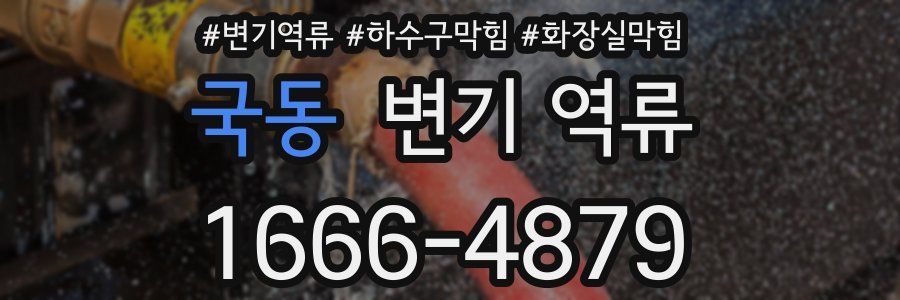 국동 변기 역류