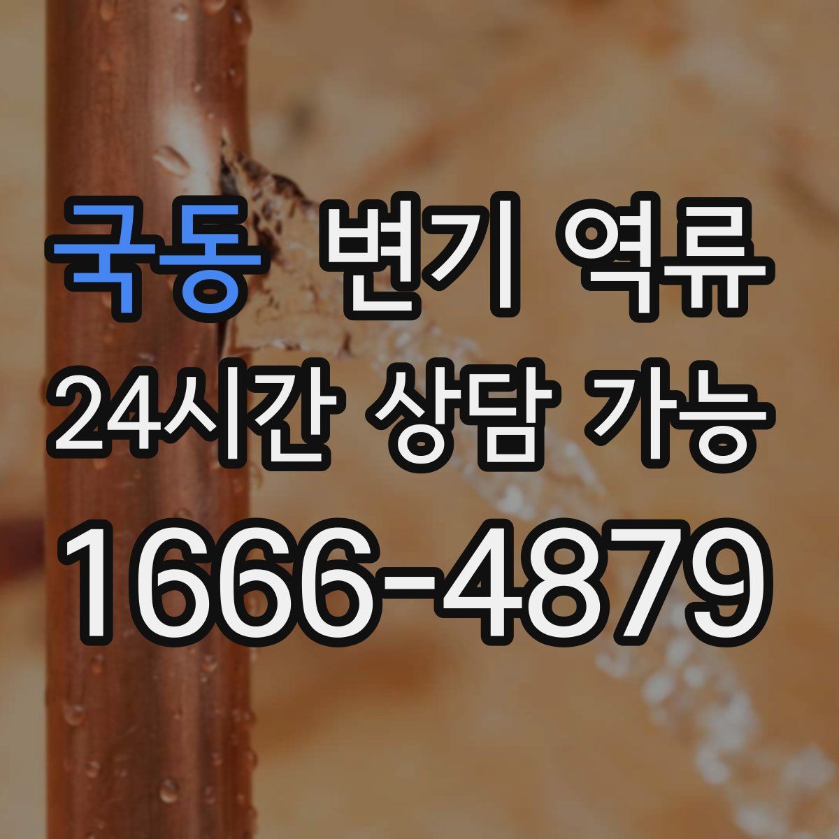 국동 변기 역류