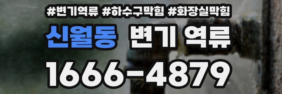 신월동 변기 역류