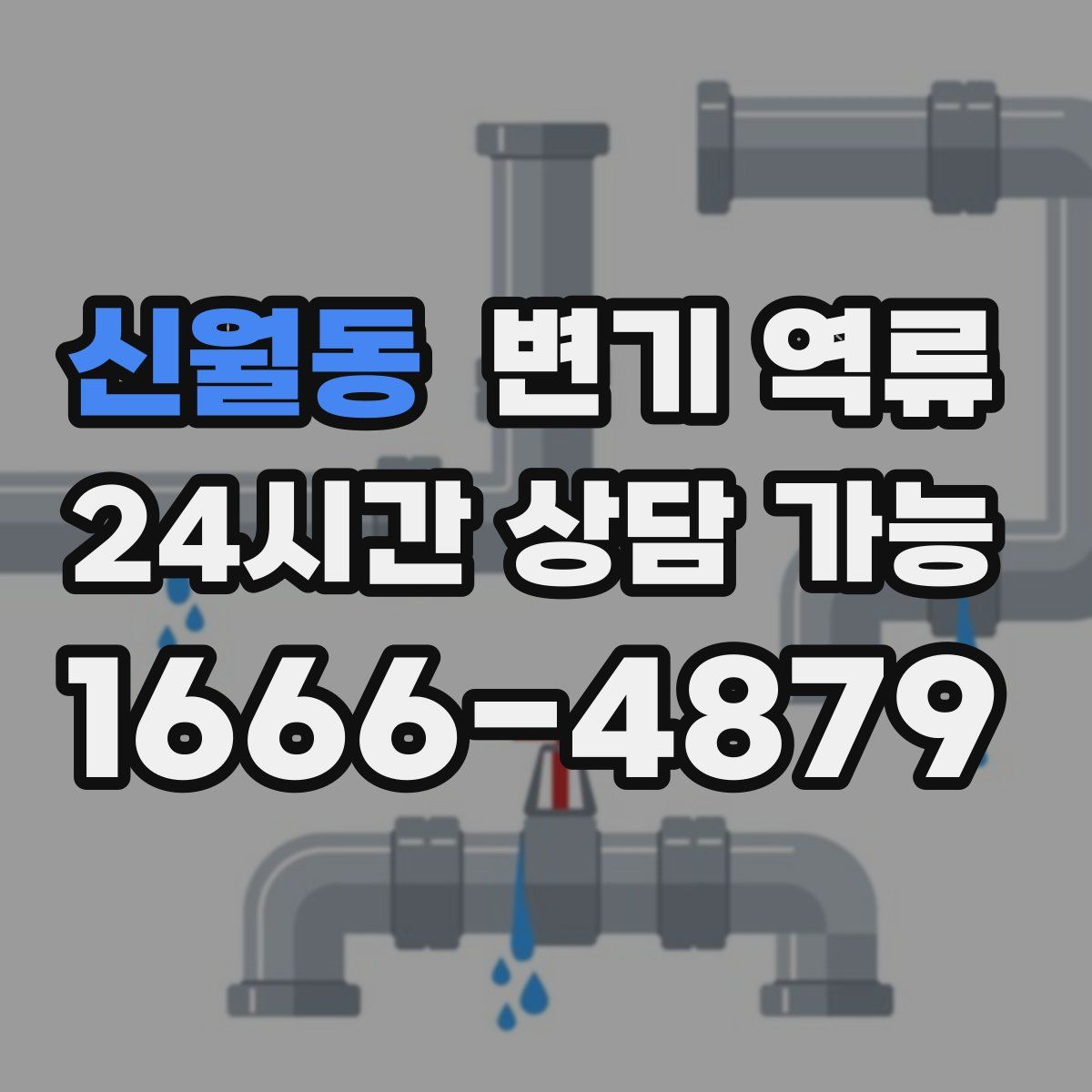 신월동 변기 역류