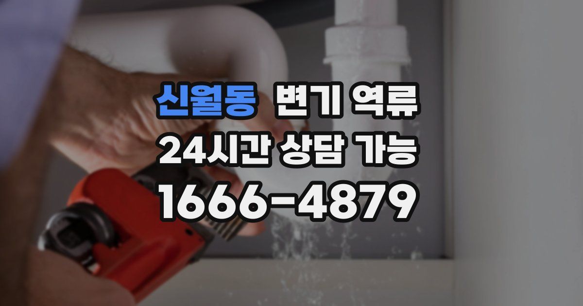 신월동 변기 역류