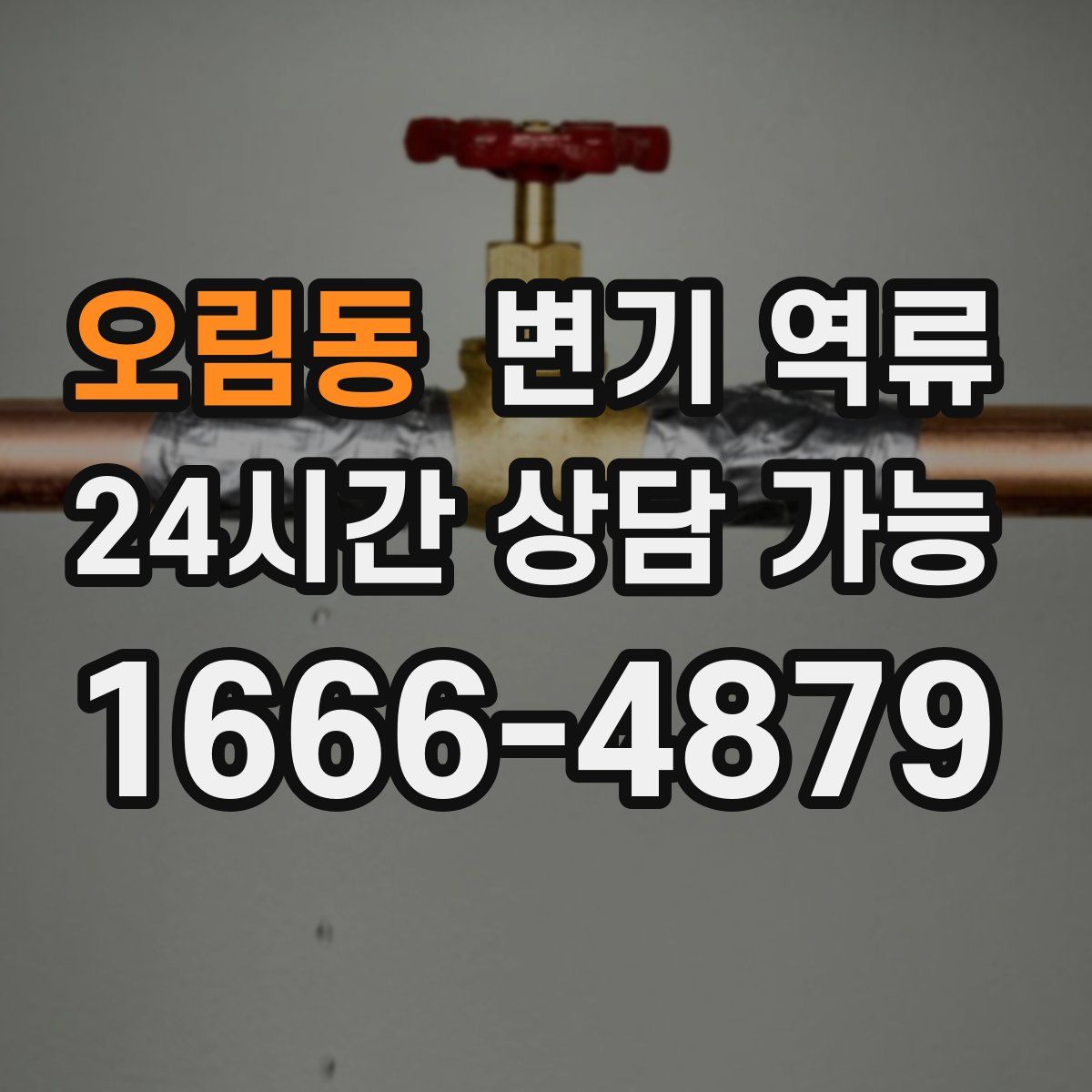 오림동 변기 역류