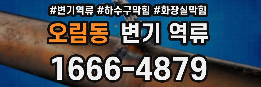 오림동 변기 역류