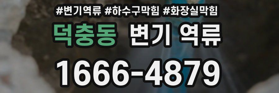 덕충동 변기 역류