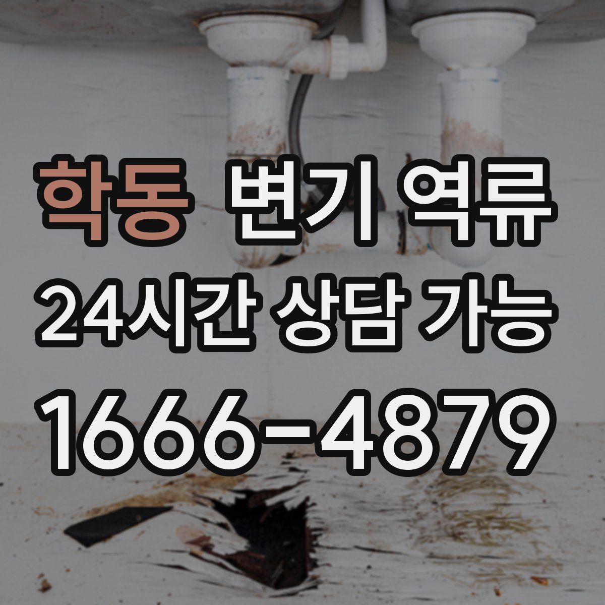 학동 변기 역류