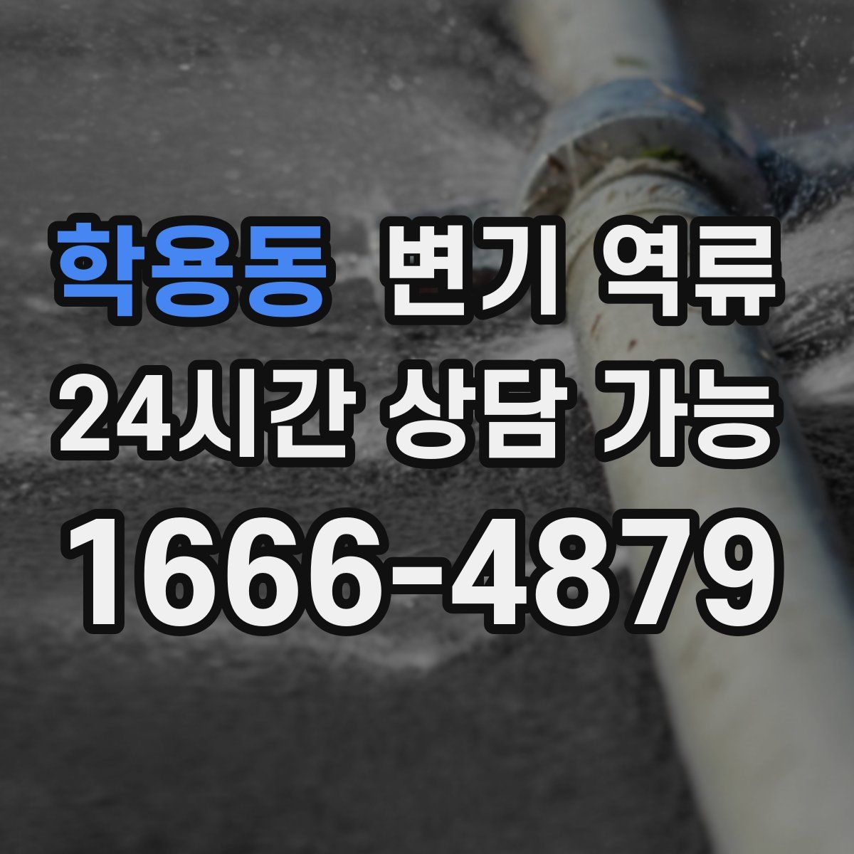 학용동 변기 역류