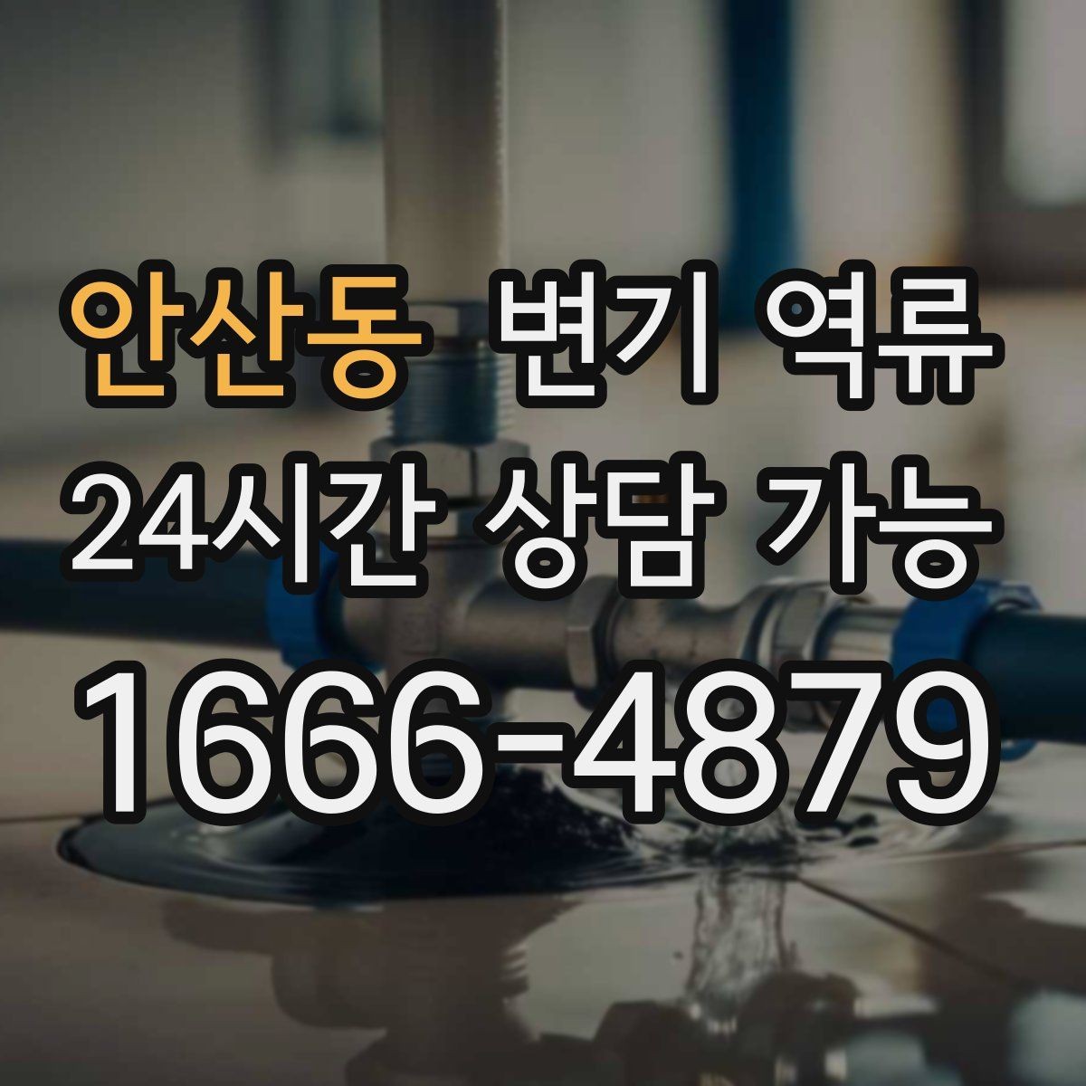 안산동 변기 역류 어떤 질문에 답하면 원인을 빨리 좁힐 수 있을까