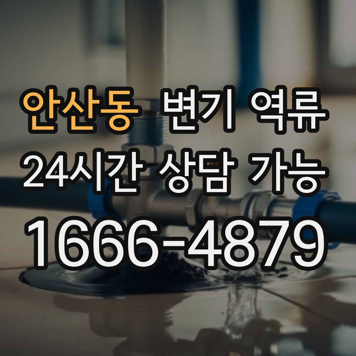 안산동 변기 역류