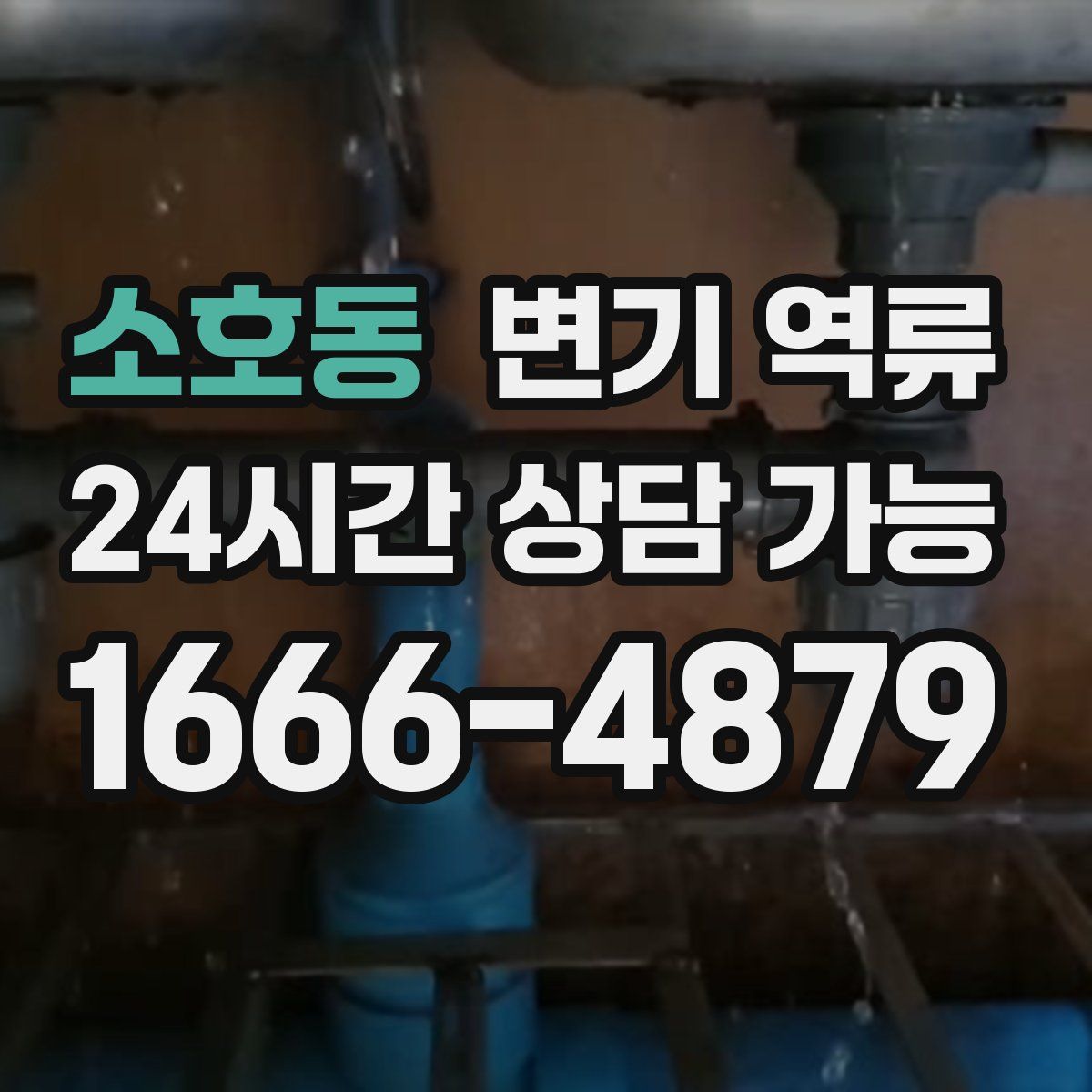 소호동 변기 역류