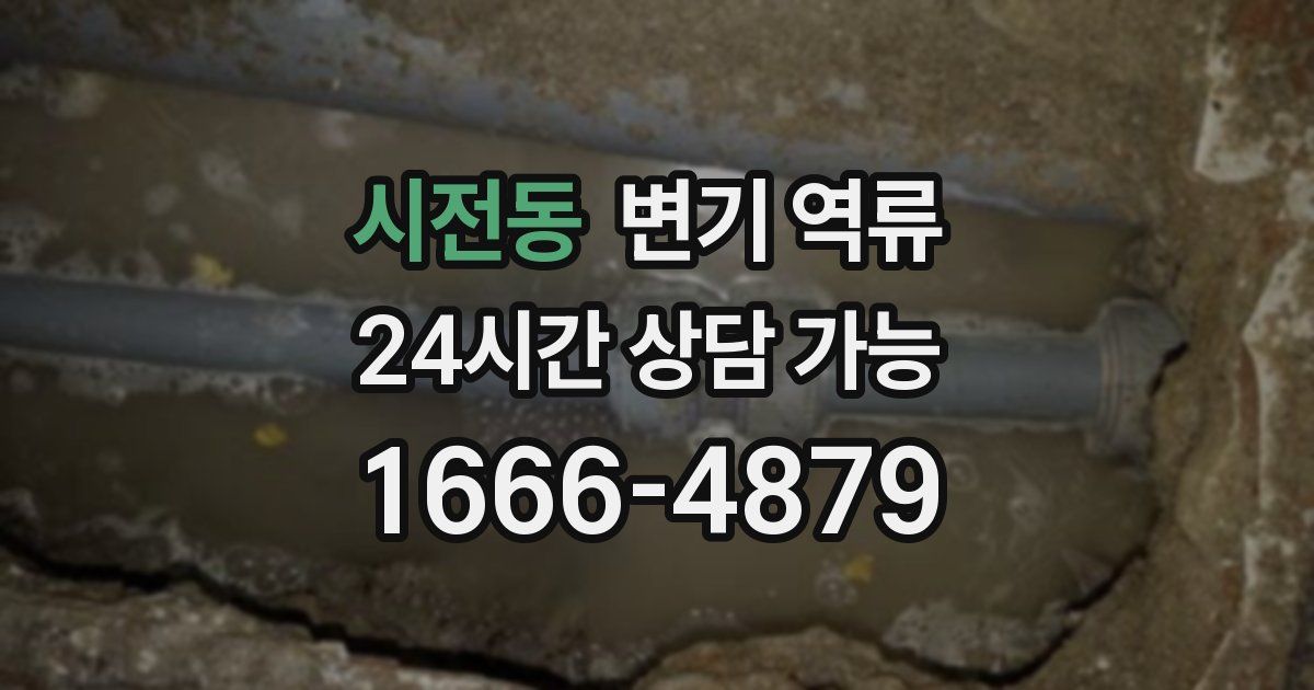 시전동 변기 역류
